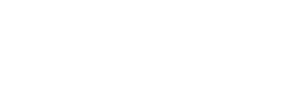 HISTORIA ES PRESENTE
