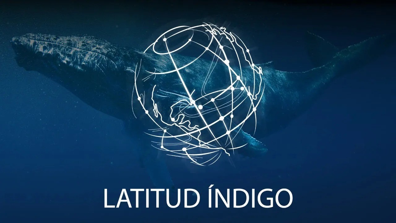 Latitud índigo